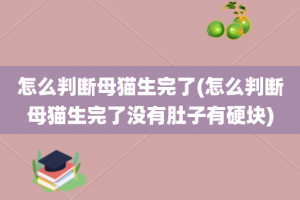 怎么判断母猫生完了(怎么判断母猫生完了没有肚子有硬块)