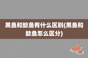 黑鱼和鲶鱼有什么区别(黑鱼和鲶鱼怎么区分)