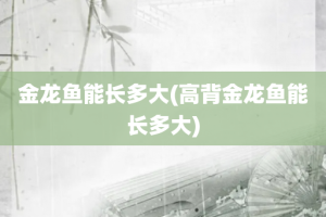 金龙鱼能长多大(高背金龙鱼能长多大)