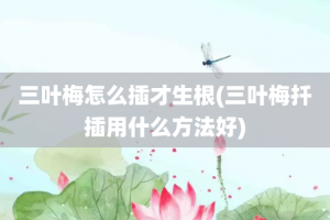 三叶梅怎么插才生根(三叶梅扦插用什么方法好)