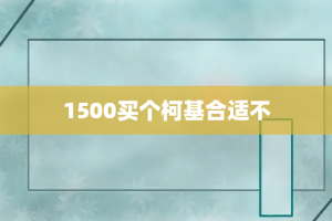 1500买个柯基合适不