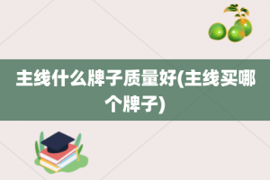主线什么牌子质量好(主线买哪个牌子)