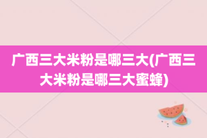 广西三大米粉是哪三大(广西三大米粉是哪三大蜜蜂)
