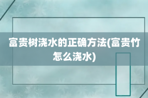 富贵树浇水的正确方法(富贵竹怎么浇水)