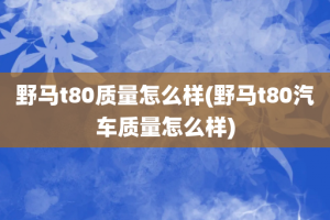 野马t80质量怎么样(野马t80汽车质量怎么样)