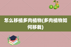 怎么移植多肉植物(多肉植物如何移栽)