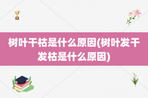 树叶干枯是什么原因(树叶发干发枯是什么原因)