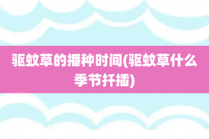 驱蚊草的播种时间(驱蚊草什么季节扦插)