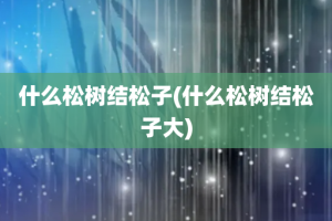 什么松树结松子(什么松树结松子大)
