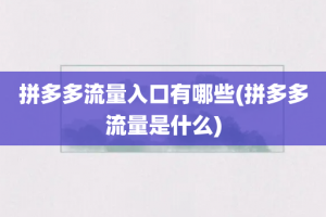 拼多多流量入口有哪些(拼多多流量是什么)