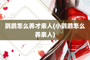 鹦鹉怎么养才亲人(小鹦鹉怎么养亲人)