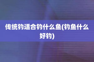 传统钓适合钓什么鱼(钓鱼什么好钓)