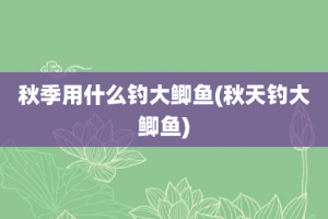 秋季用什么钓大鲫鱼(秋天钓大鲫鱼)