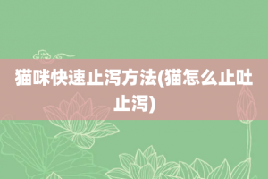 猫咪快速止泻方法(猫怎么止吐止泻)
