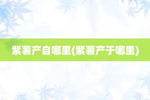 紫薯产自哪里(紫薯产于哪里)