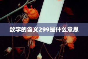 数字的含义299是什么意思