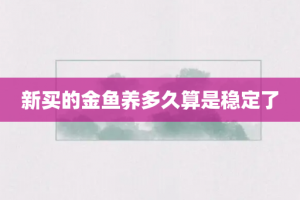 新买的金鱼养多久算是稳定了