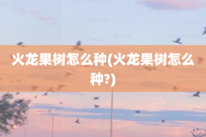 火龙果树怎么种(火龙果树怎么种?)