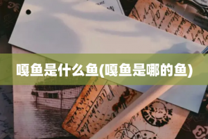 嘎鱼是什么鱼(嘎鱼是哪的鱼)