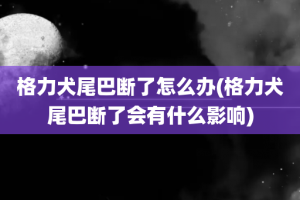 格力犬尾巴断了怎么办(格力犬尾巴断了会有什么影响)