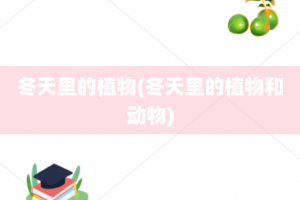 冬天里的植物(冬天里的植物和动物)