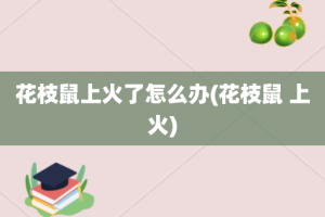 花枝鼠上火了怎么办(花枝鼠 上火)