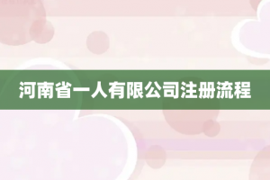 河南省一人有限公司注册流程