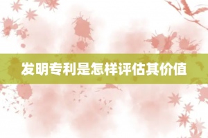 发明专利是怎样评估其价值