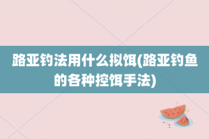 路亚钓法用什么拟饵(路亚钓鱼的各种控饵手法)