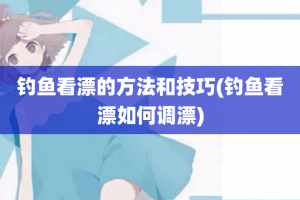 钓鱼看漂的方法和技巧(钓鱼看漂如何调漂)