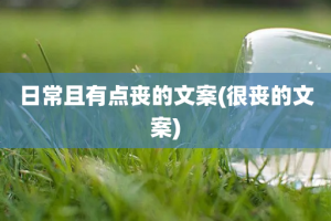 日常且有点丧的文案(很丧的文案)