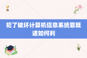 犯了破坏计算机信息系统罪既遂如何判