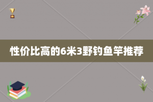 性价比高的6米3野钓鱼竿推荐