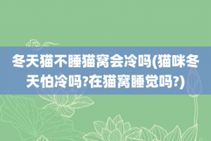冬天猫不睡猫窝会冷吗(猫咪冬天怕冷吗?在猫窝睡觉吗?)