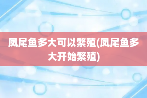 凤尾鱼多大可以繁殖(凤尾鱼多大开始繁殖)