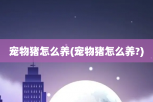 宠物猪怎么养(宠物猪怎么养?)