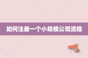 如何注册一个小规模公司流程
