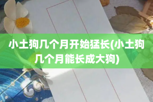 小土狗几个月开始猛长(小土狗几个月能长成大狗)