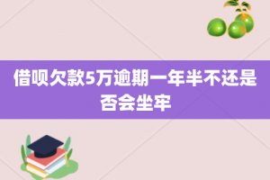 借呗欠款5万逾期一年半不还是否会坐牢