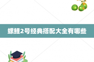 螺鲤2号经典搭配大全有哪些