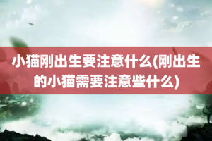 小猫刚出生要注意什么(刚出生的小猫需要注意些什么)
