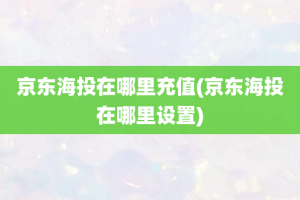 京东海投在哪里充值(京东海投在哪里设置)