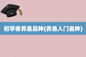 初学者养鱼品种(养鱼入门鱼种)