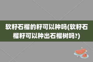 软籽石榴的籽可以种吗(软籽石榴籽可以种出石榴树吗?)
