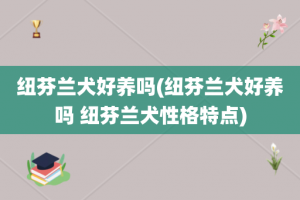 纽芬兰犬好养吗(纽芬兰犬好养吗 纽芬兰犬性格特点)