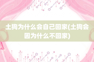 土狗为什么会自己回家(土狗会因为什么不回家)