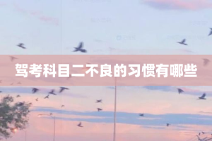 驾考科目二不良的习惯有哪些