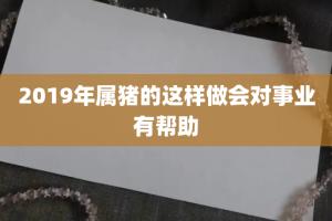 2019年属猪的这样做会对事业有帮助