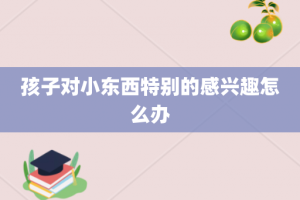 孩子对小东西特别的感兴趣怎么办