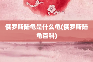 俄罗斯陆龟是什么龟(俄罗斯陆龟百科)